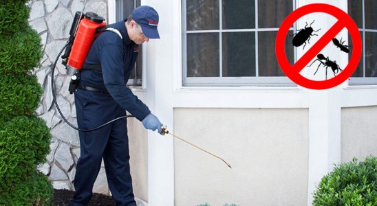 Kurucaşile Böcek ve Haşere İlaçlama böcek ilaçlama ve haşere kontrolü — ilaclama-tr.com
